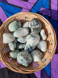 Agate arbre